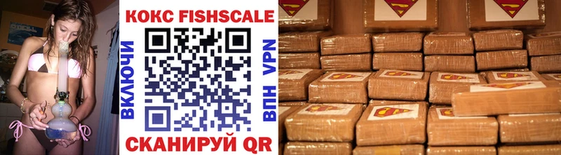 Купить закладки  Белорецк  COCAIN Fish Scale 