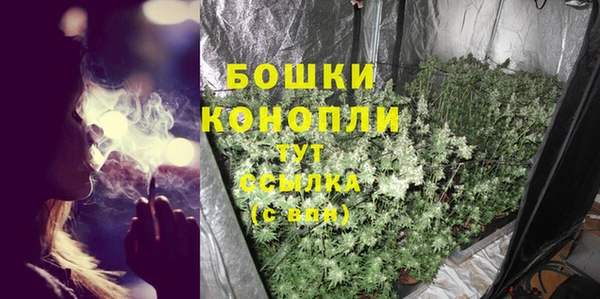 каннабис Богданович