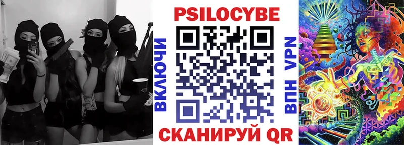 Купить где  Белорецк  Псилоцибиновые грибы Cubensis 